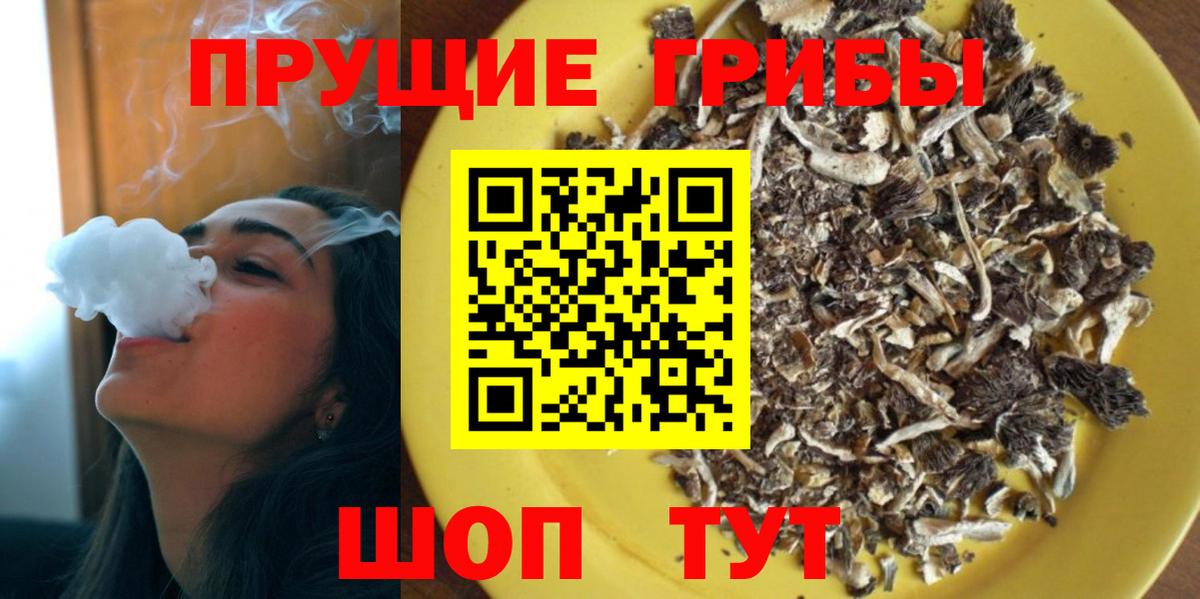 Прохладный  Галлюциногенные грибы GOLDEN TEACHER  Псилоцибиновые грибы ЛСД  Вход с VPN 