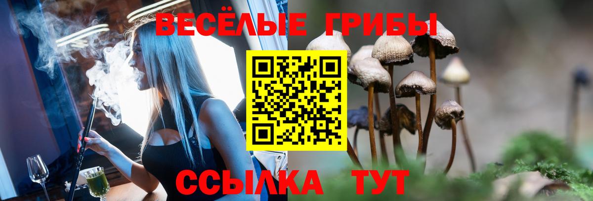 Галлюциногенные грибы мицелий Прохладный