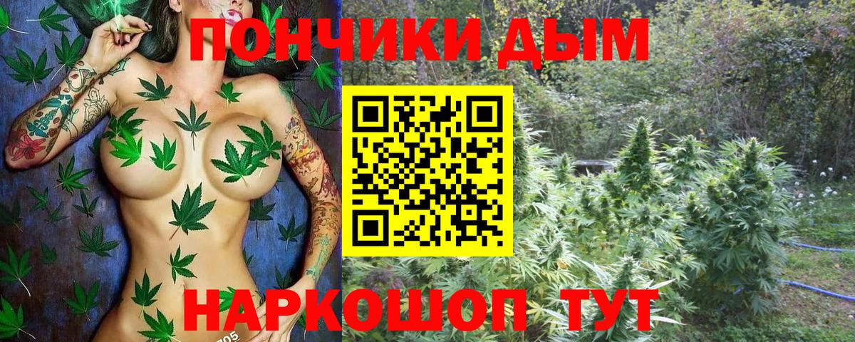 Канабис марихуана  Вход с VPN  Канабис тримм  Прохладный 